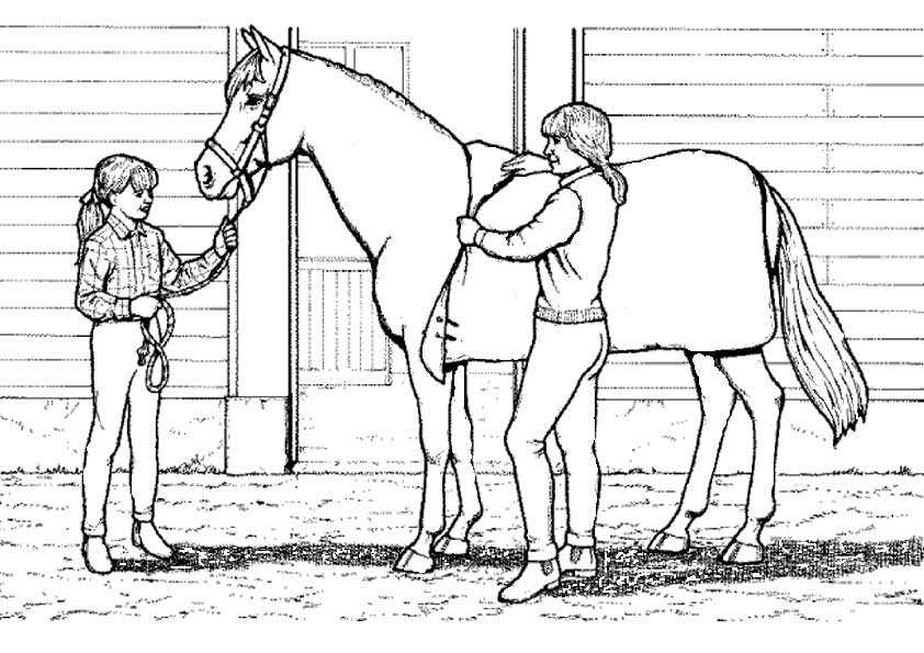 Ausmalbilder Pferde Mit Reiter 3 | Ausmalbilder Pferde
